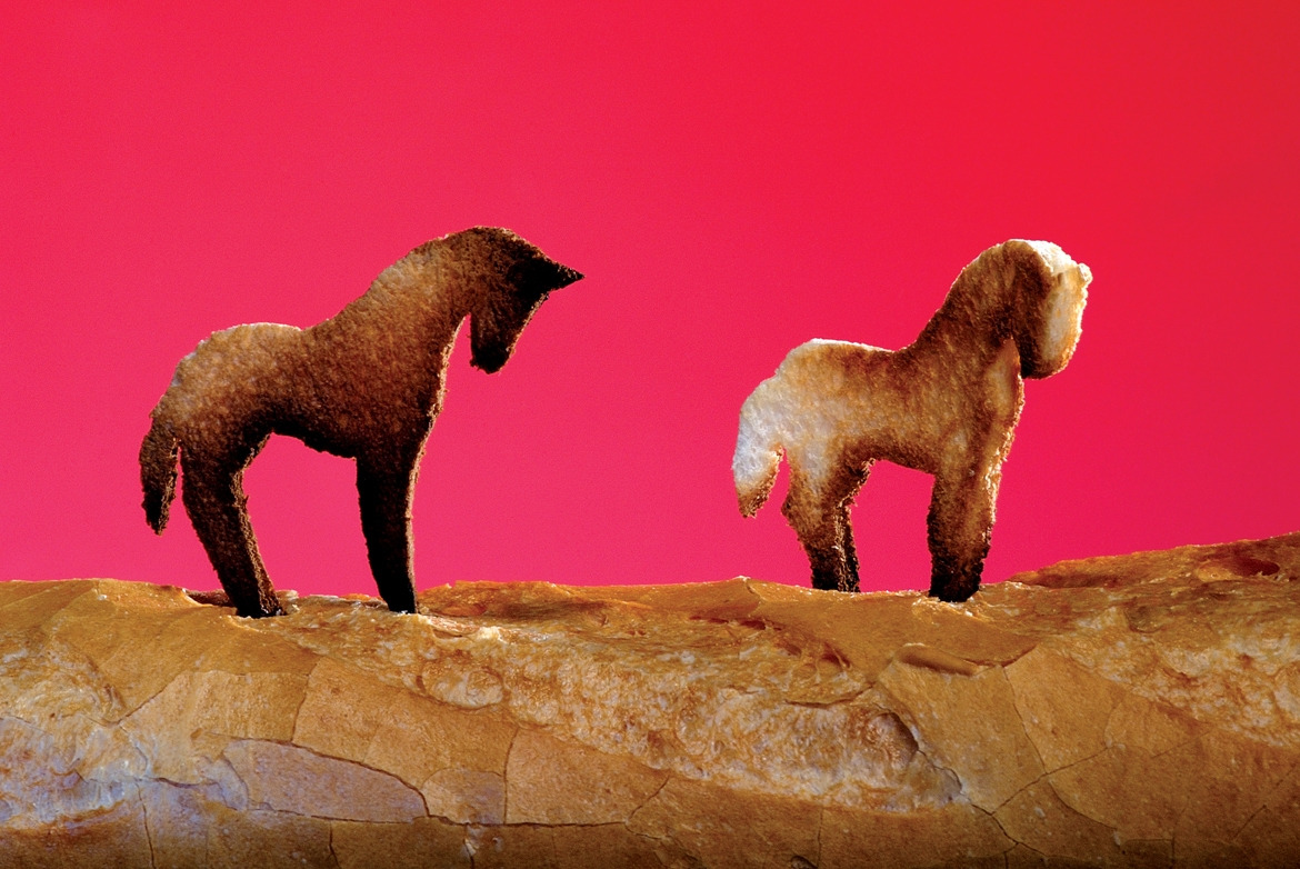 8. 굽기 버리기 태우기, 식빵, 박기열, 2005.jpg