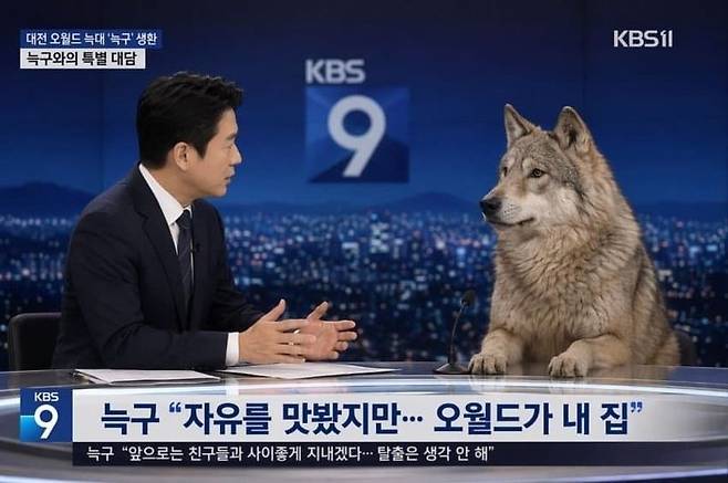 다운로드 (3).jpg