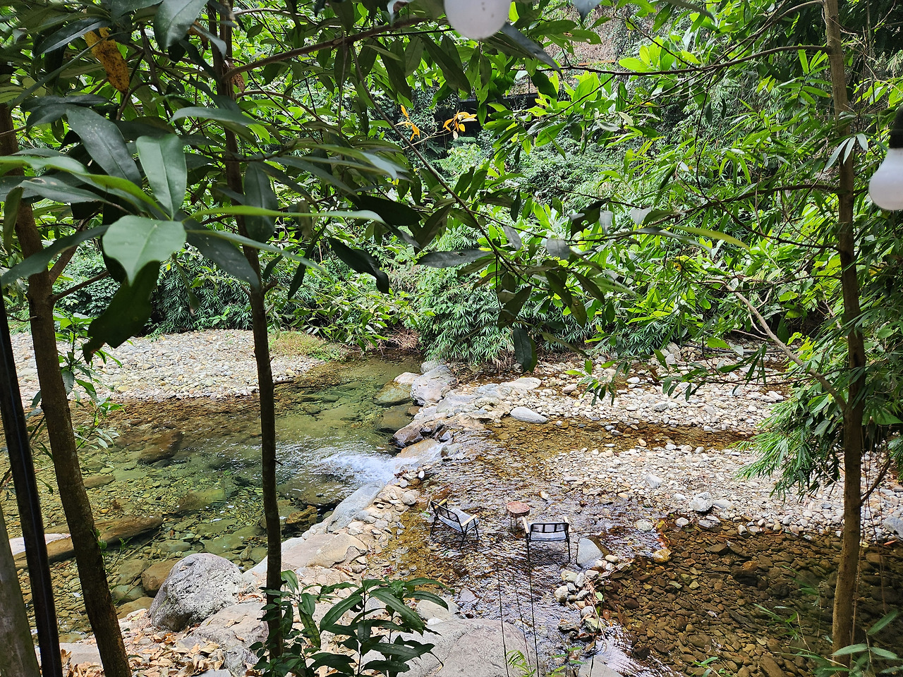 캠핑장 계곡.jpg