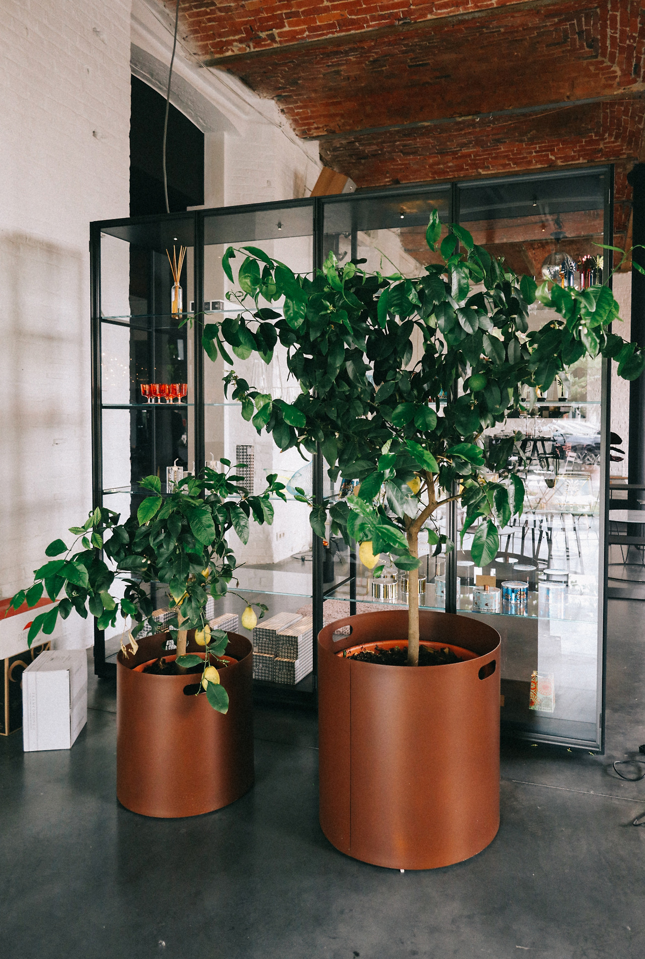 스크린샷 2023-08-16 오후 3.47.37.jpg