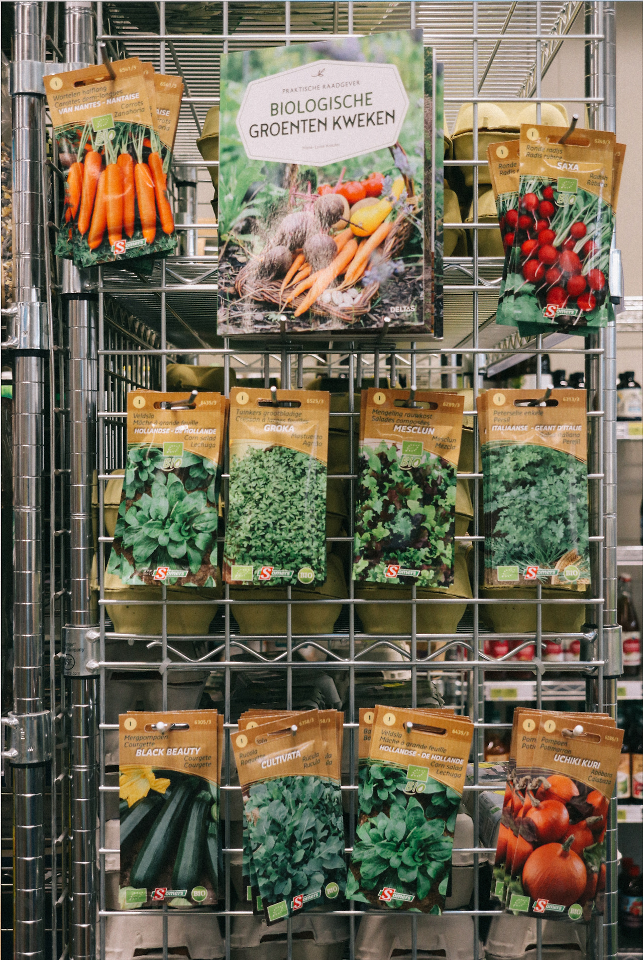 스크린샷 2023-08-16 오후 3.54.51.jpg