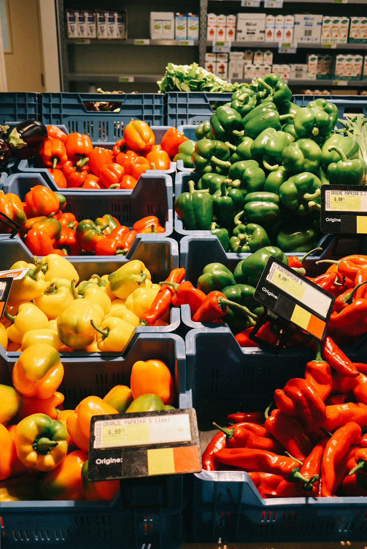 스크린샷 2023-08-16 오후 3.53.22.jpg