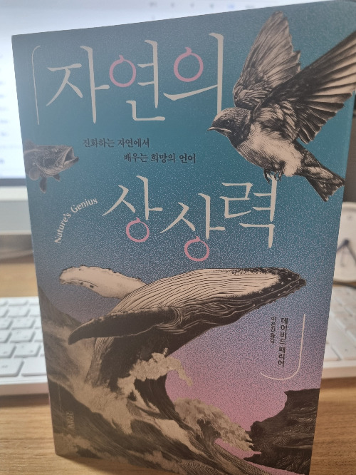 KakaoTalk_20260408_072604243.jpg