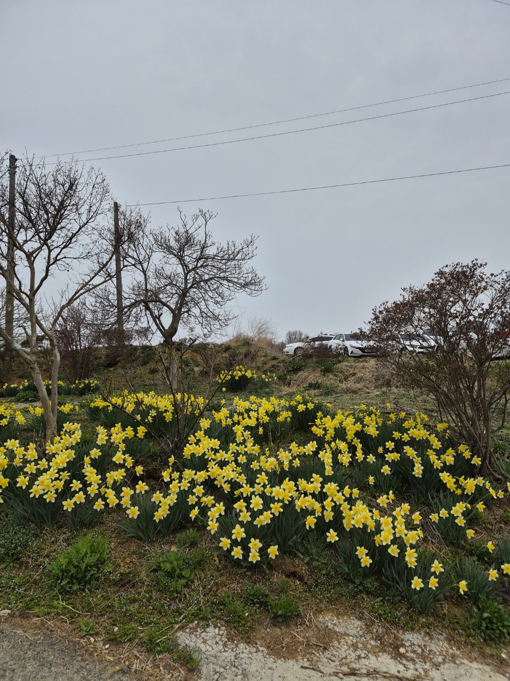 KakaoTalk_20260404_214540851_03 (1).jpg