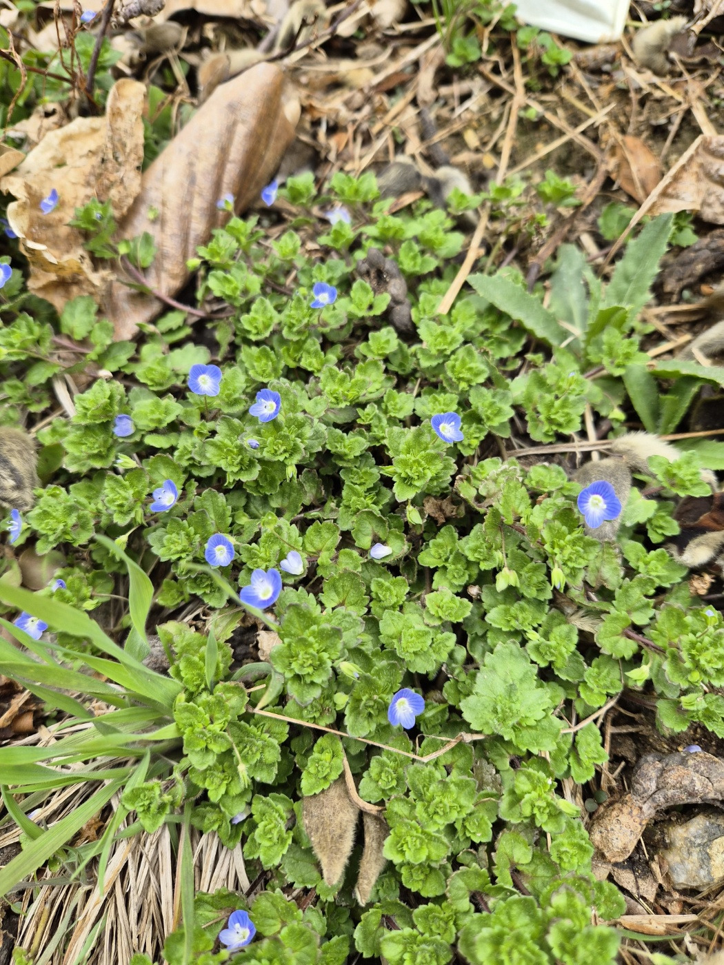 KakaoTalk_20260404_214540851 (1).jpg