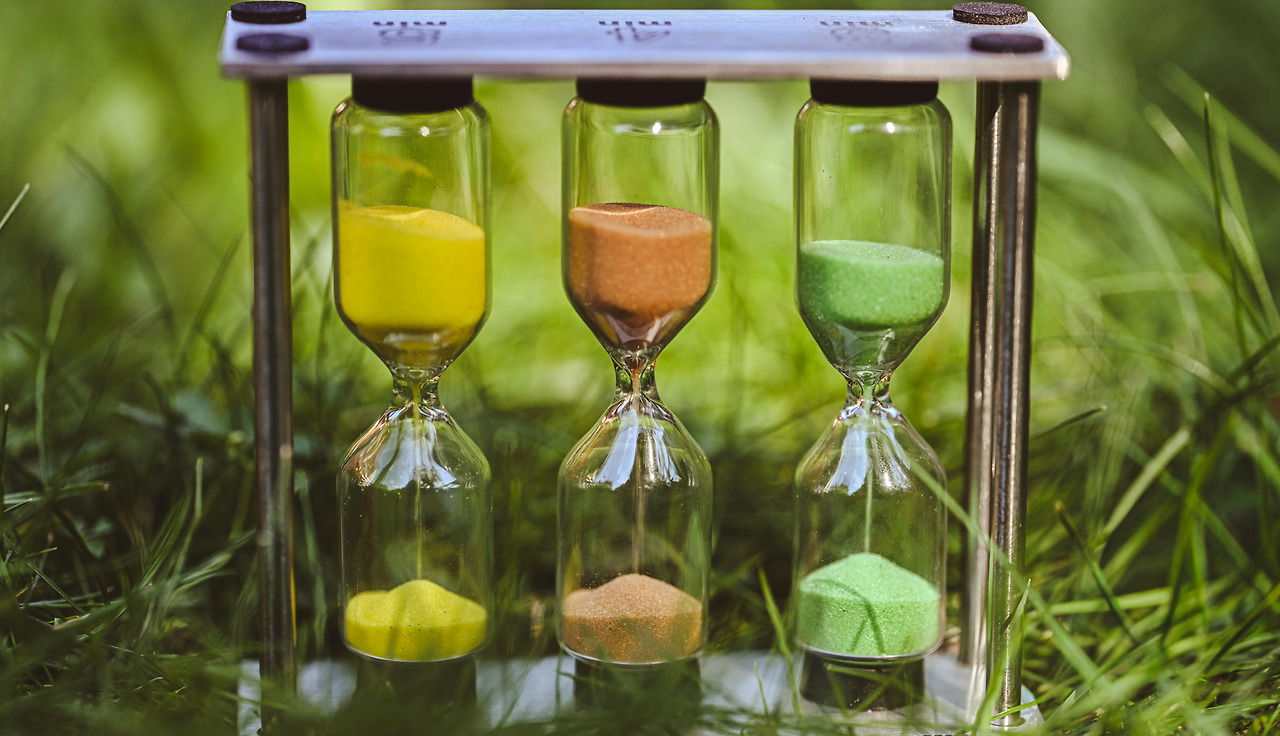 pexels-alexasfotos-34012551 (1).jpg