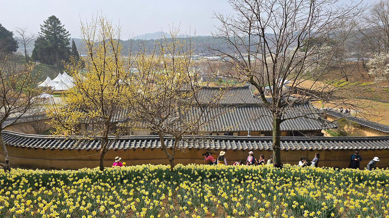 The Only Man on a Tour Bus: A Solo Traveler's Surprising Experience - News Directory 3