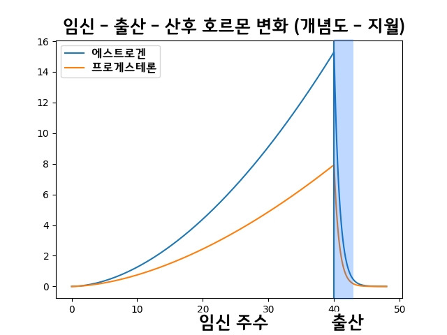 임신 출산 호르몬 변화 지월한의원.jpg
