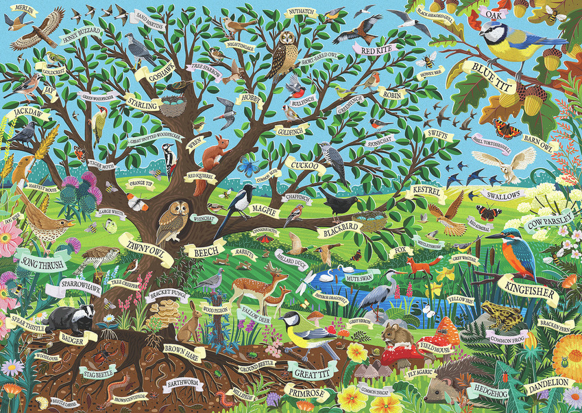 Joanne Parry, advocate art.com.jpg