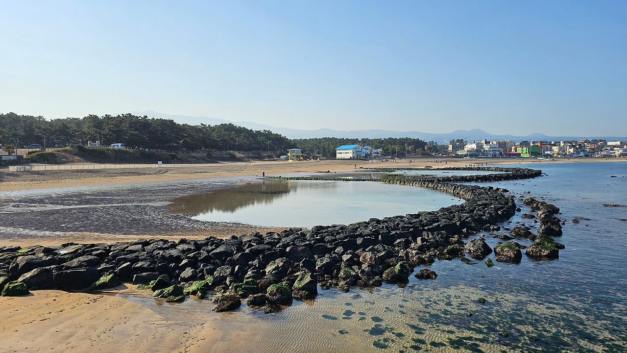 이호동 원담.jpg