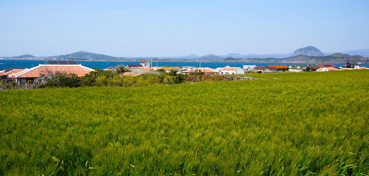 다운로드 (4).jpg