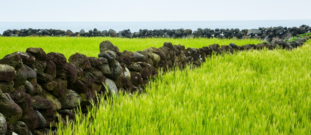 다운로드 (6).jpg