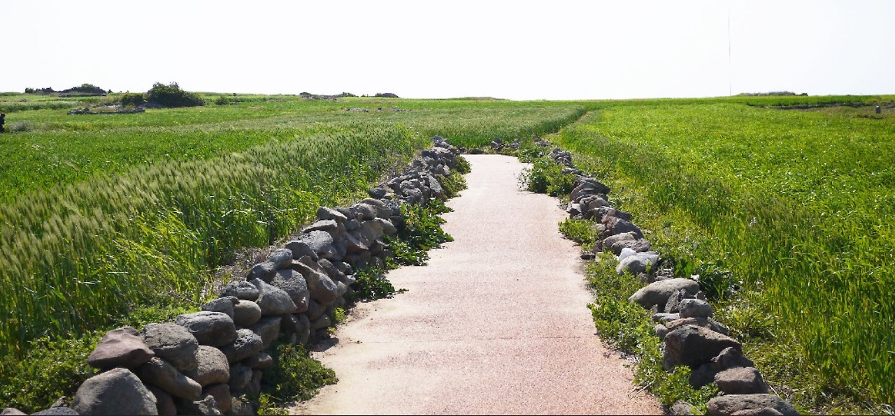 다운로드 (5).jpg