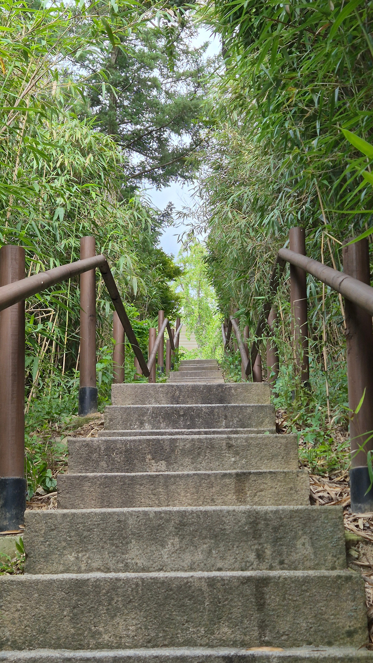 경주여행_신라천년서고가는_계단.jpg (2).jpg