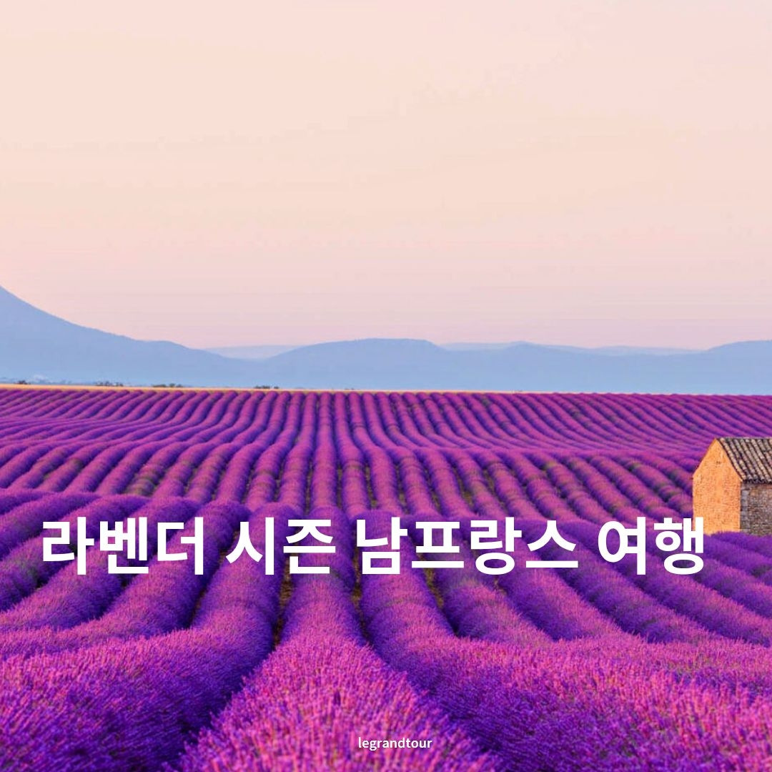 제목을 입력해주세요. (1).jpg