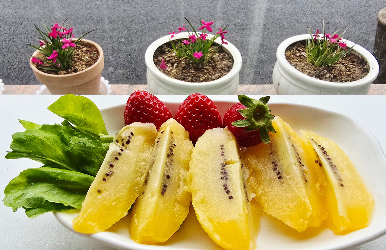 3.31 달달하게.jpg