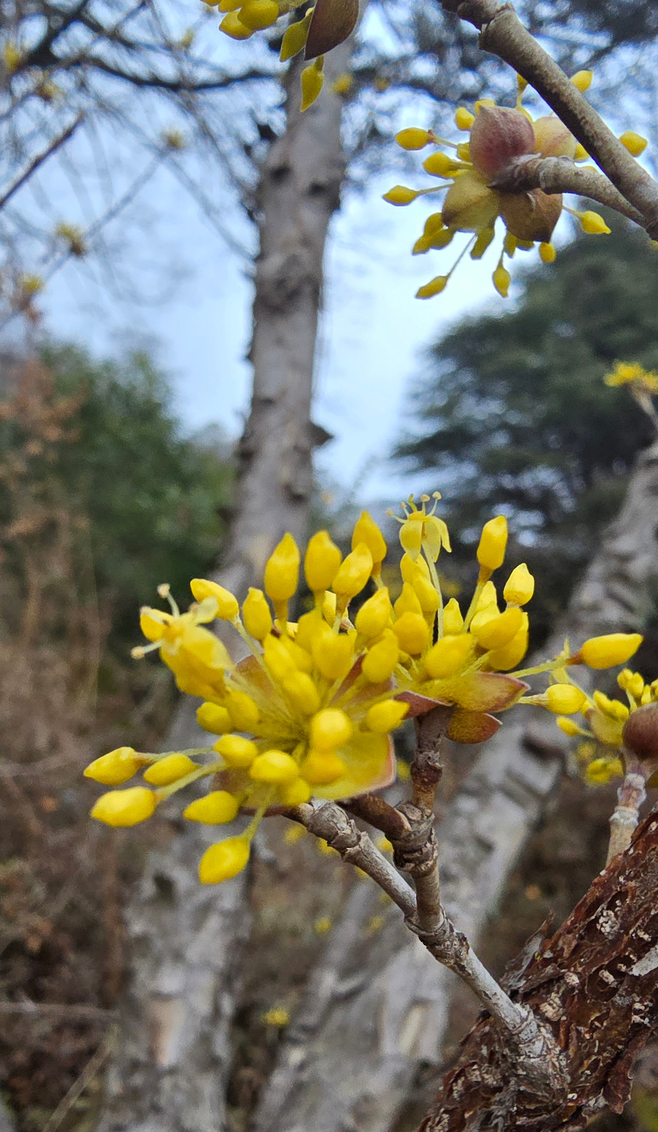 3.10 학당회원1.jpg