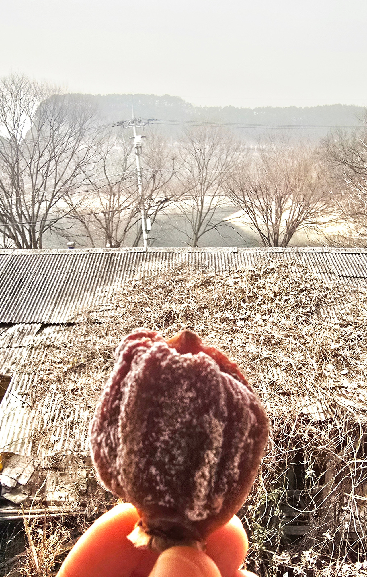 2.28 동상곶감1.jpg