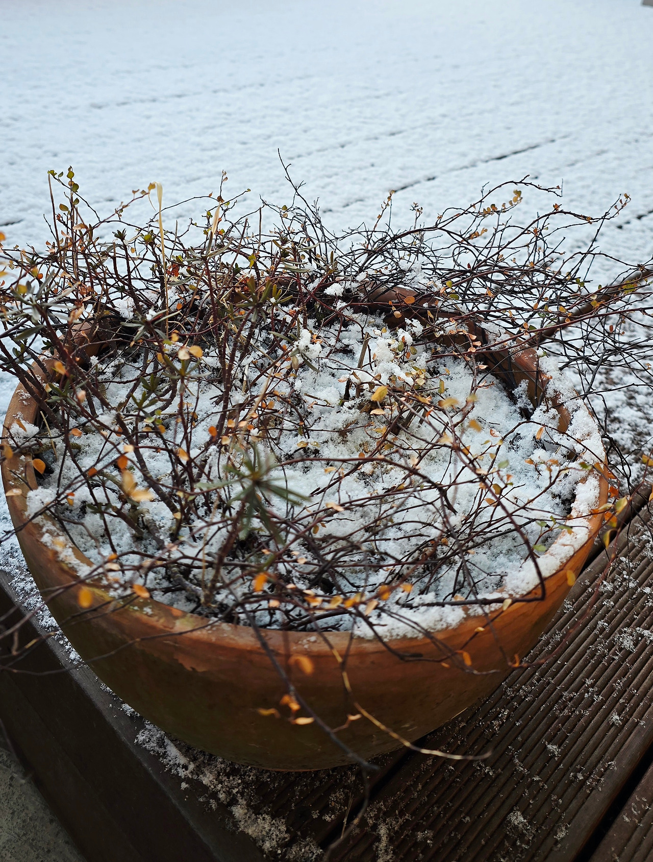 1.30 김용택시인.jpg