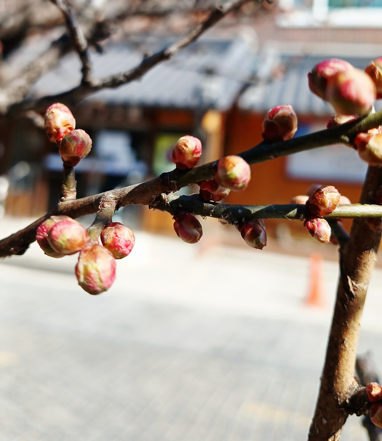 2.18 설날담날.jpg