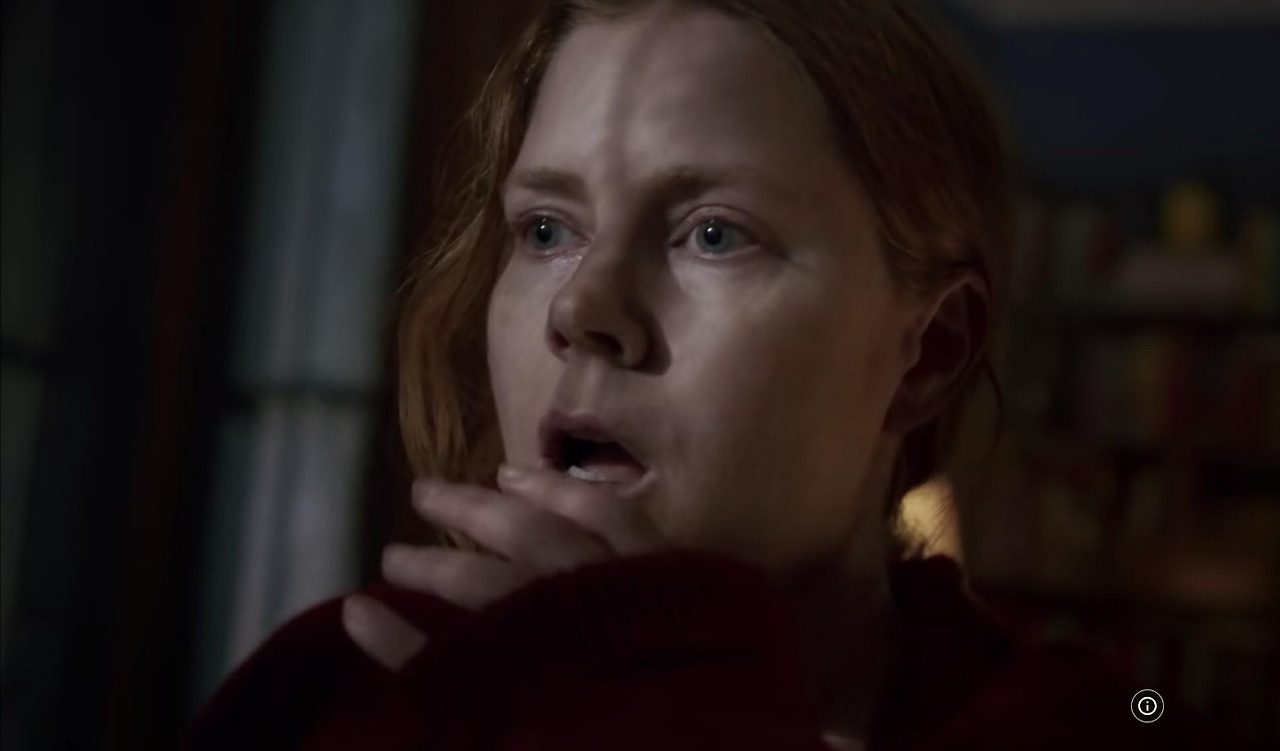 영화 우먼인 윈도 28.jpg