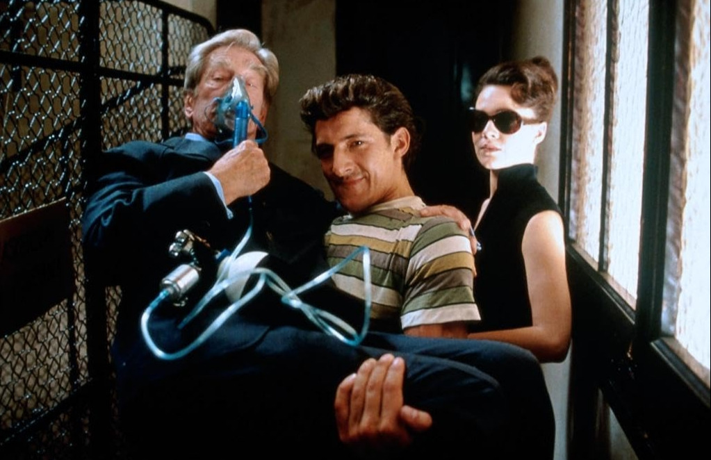 영화 플랑드르 거장의 그림 16.jpg