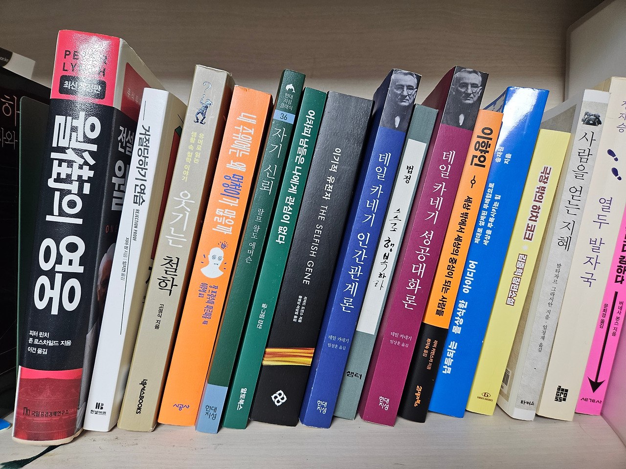 사진 마지막.jpg