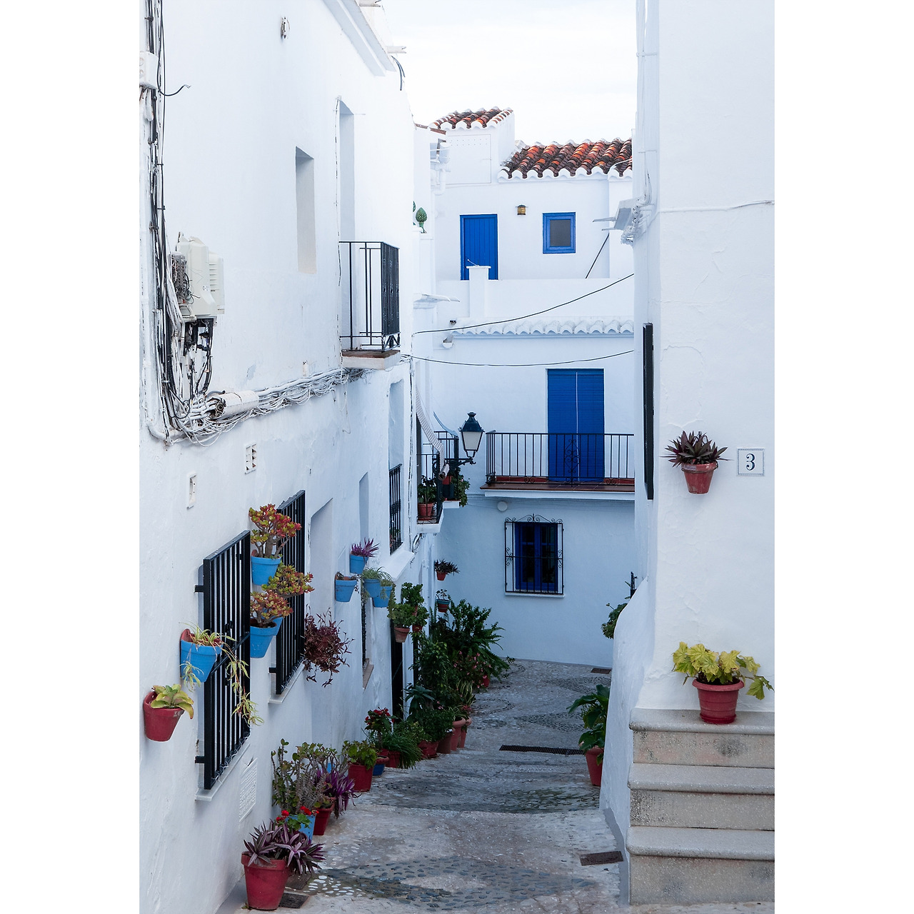 08 프리힐리아나 41.jpg