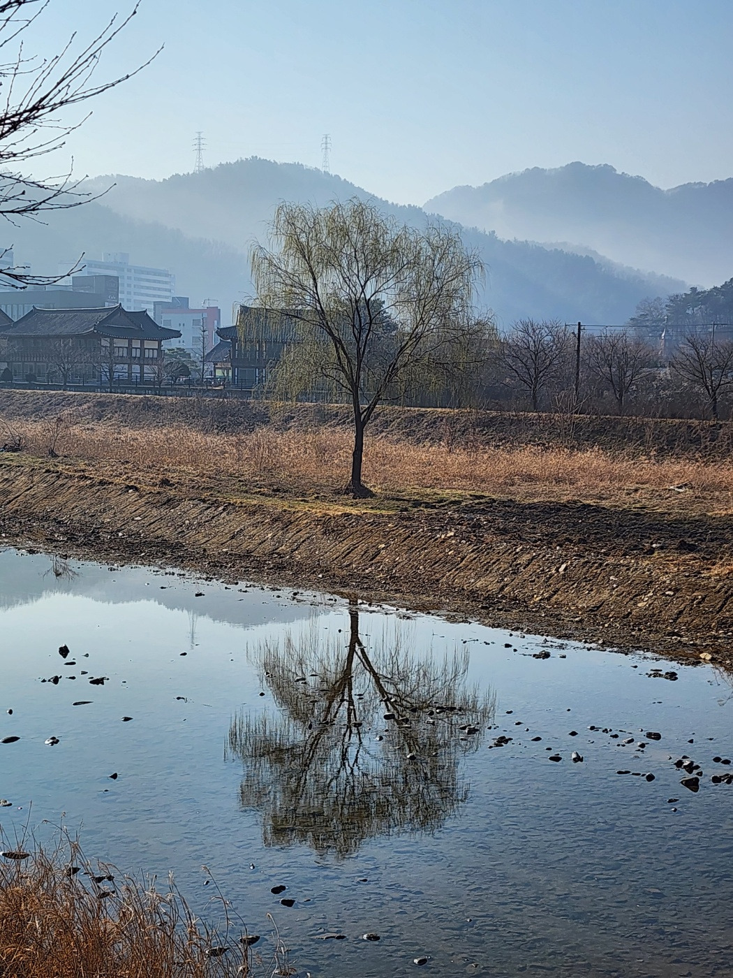 제미나이와 놀다_20260412.jpg