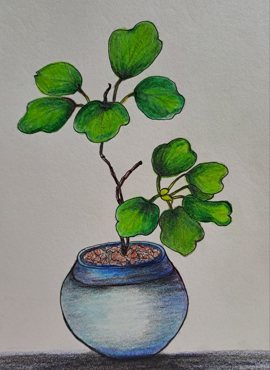 보통날의 시선 66 화분 그림.jpg