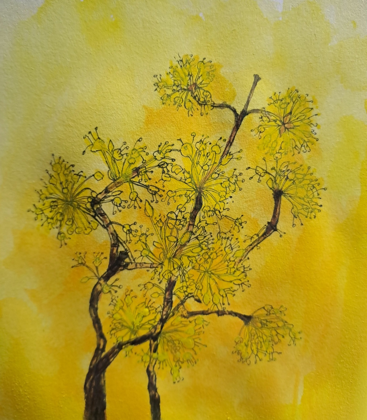 보통날의 시선 67 산수유 그림.jpg