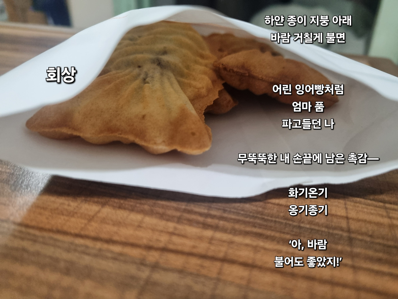 디카시 27. 회상.jpg