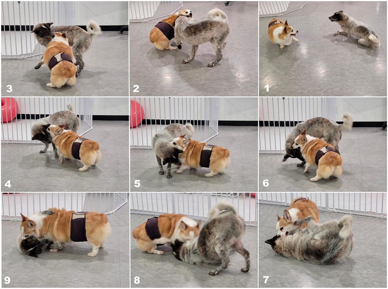 Screenshot_20260127_114845_M365 Copilot.jpg