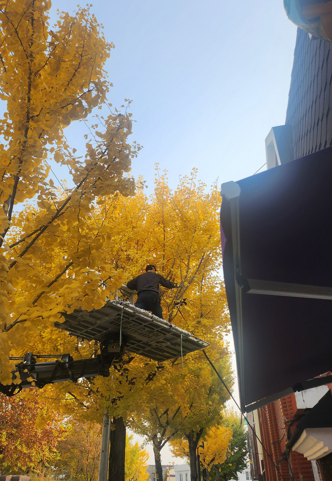 가을 이삿날.jpg