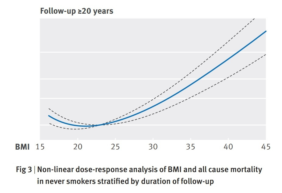 BMI 20-22가 좋다 그래프.jpg