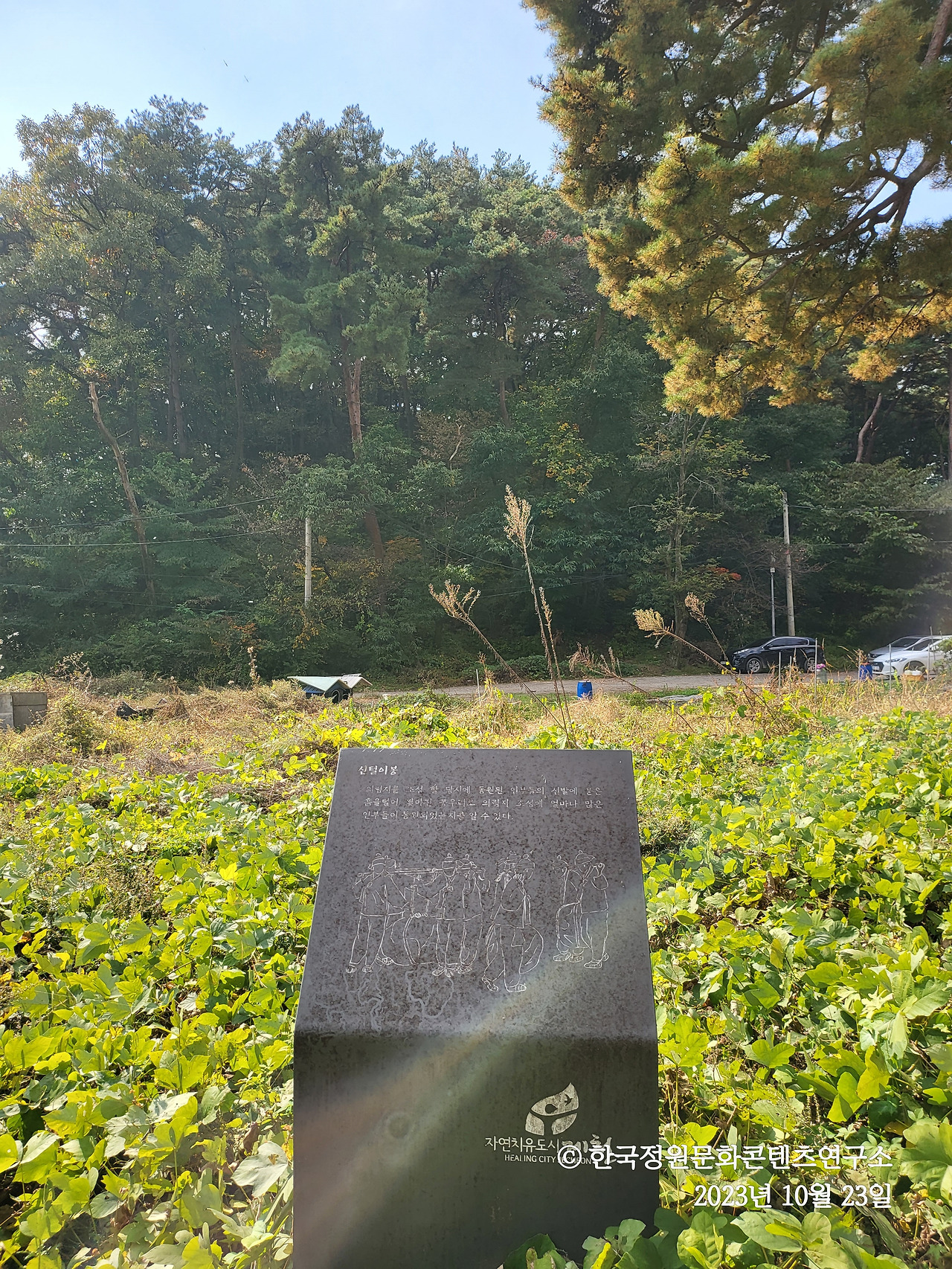 제천 의림지 호반원림 - 신털이봉.jpg