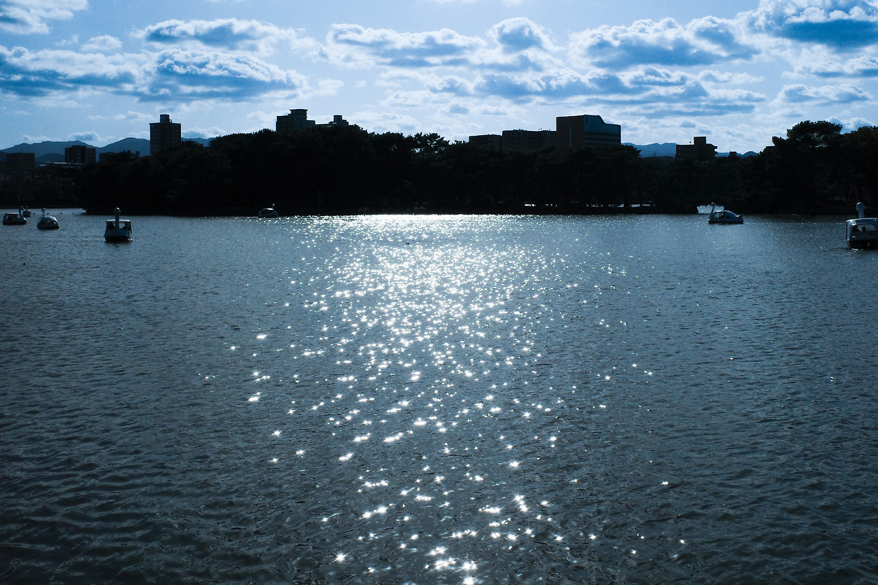 05. in 후쿠오카-12.jpg