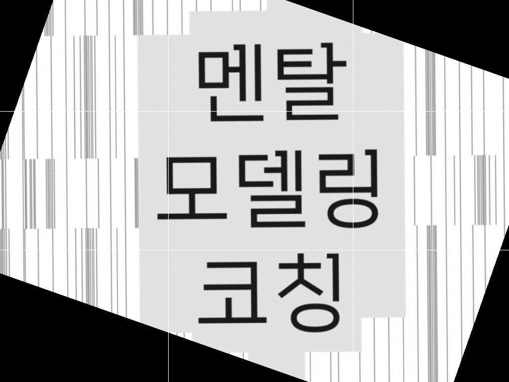 멘탈 모델링 코칭-캡쳐.jpg