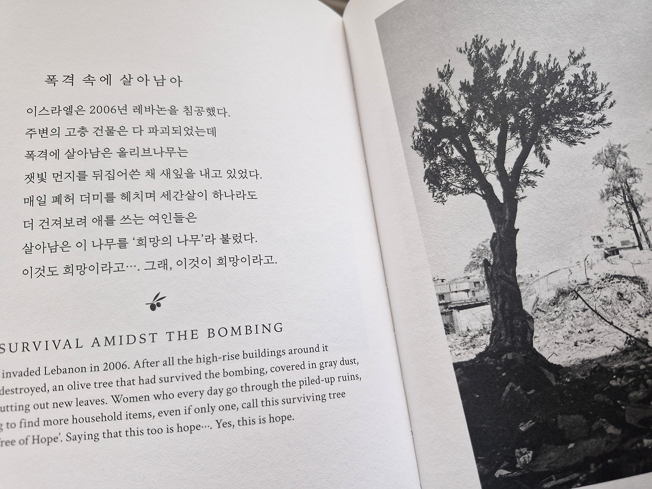 20260216_124802 (1).jpg