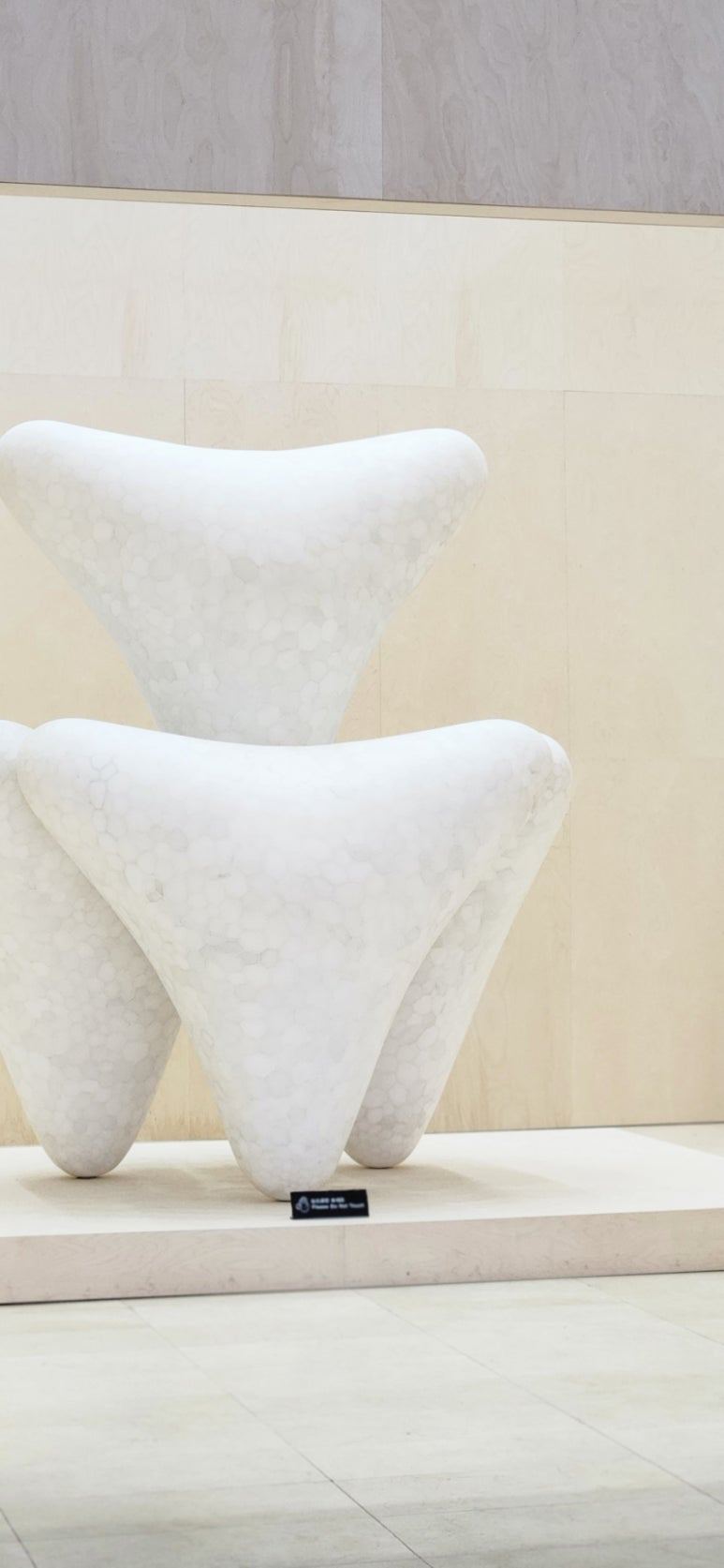 최재은 루시.jpg