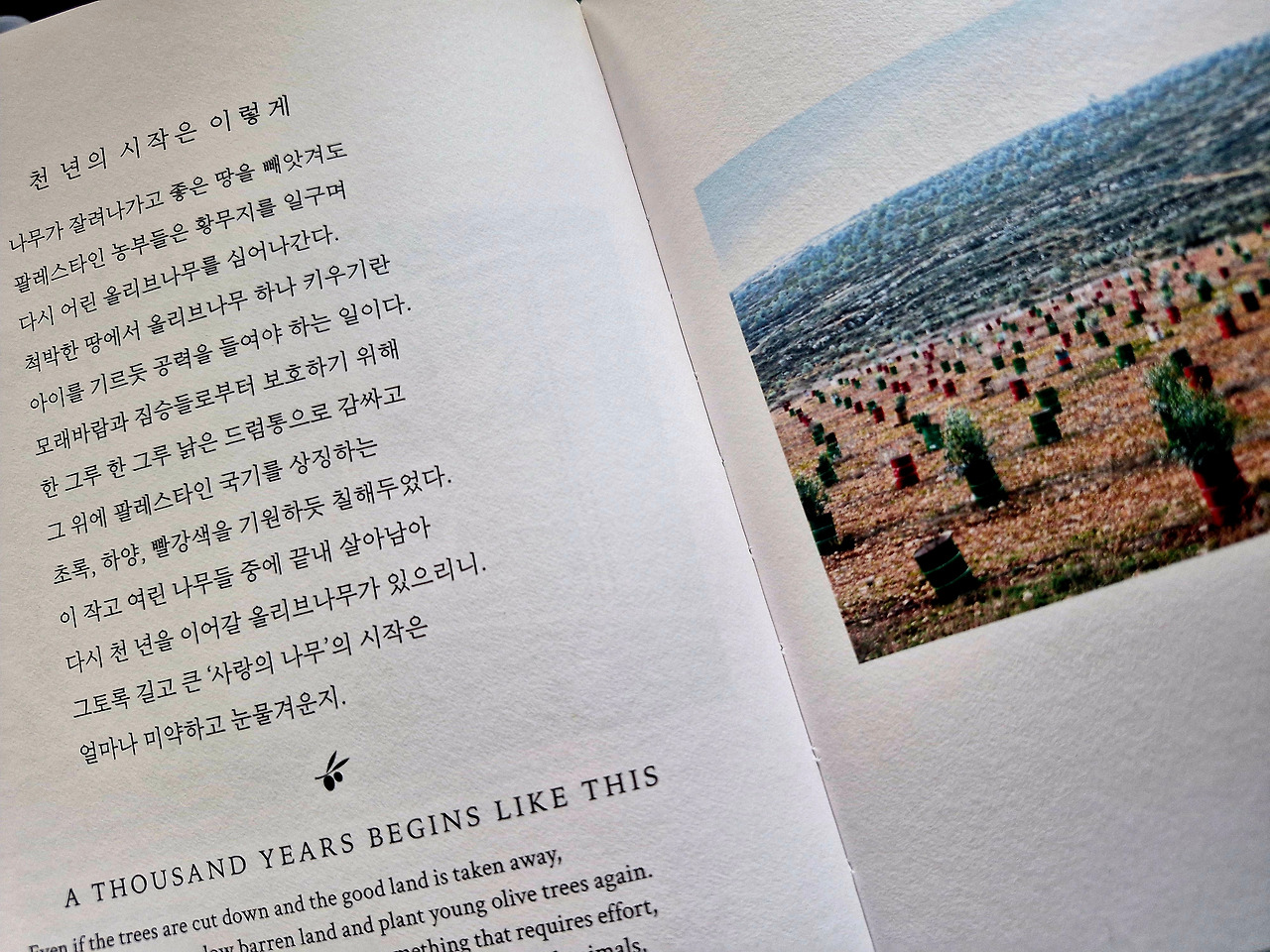 20260216_125724 (1).jpg