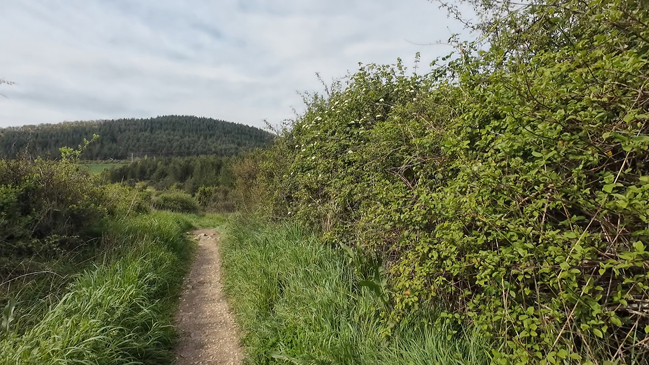 [리스타트]산티아고 3일차(5).jpg