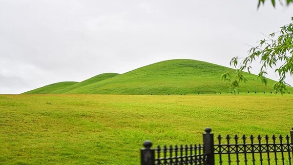 temp.jpg