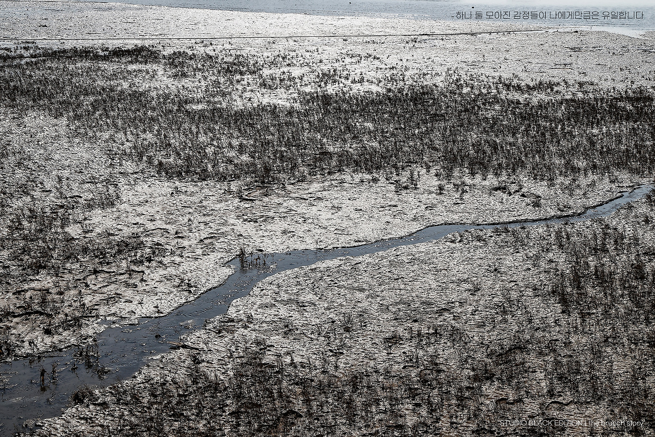 THE BRUNCH STORY 889.jpg