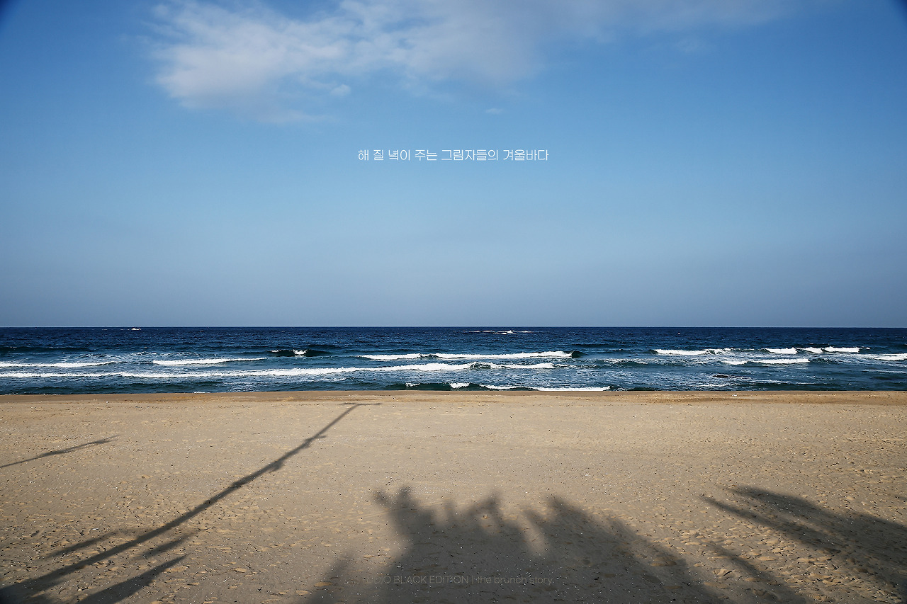 THE BRUNCH STORY 849.jpg