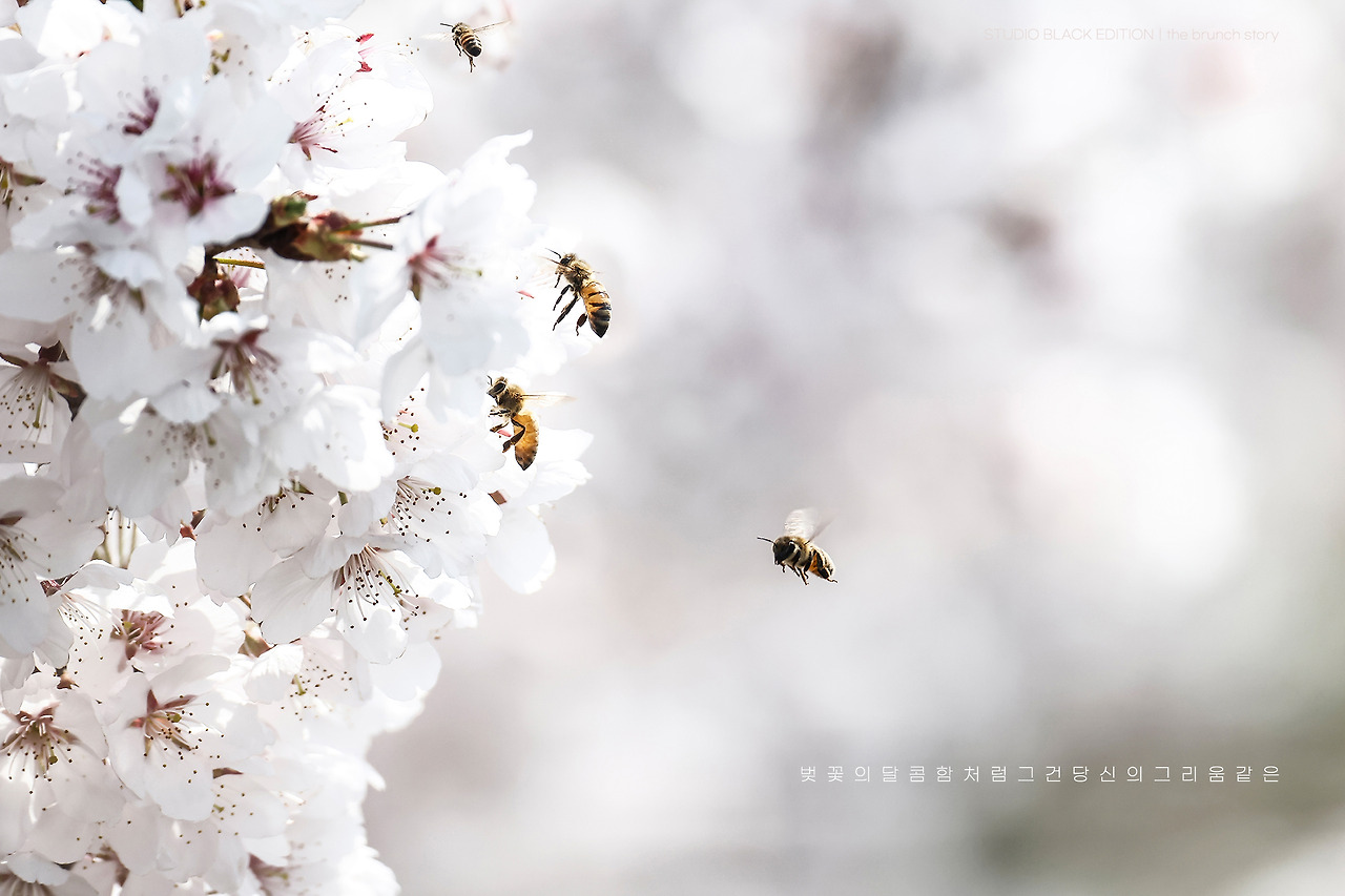 THE BRUNCH STORY 902.jpg