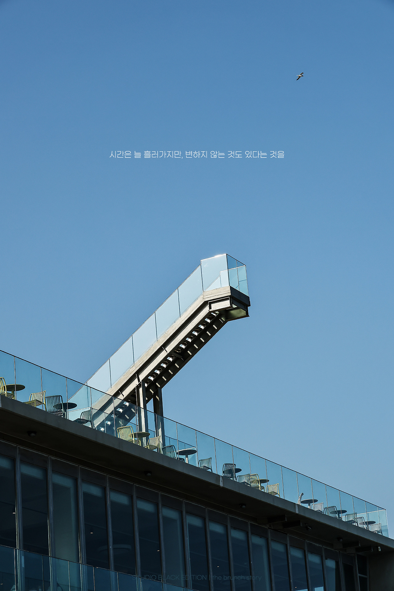 THE BRUNCH STORY 845.jpg