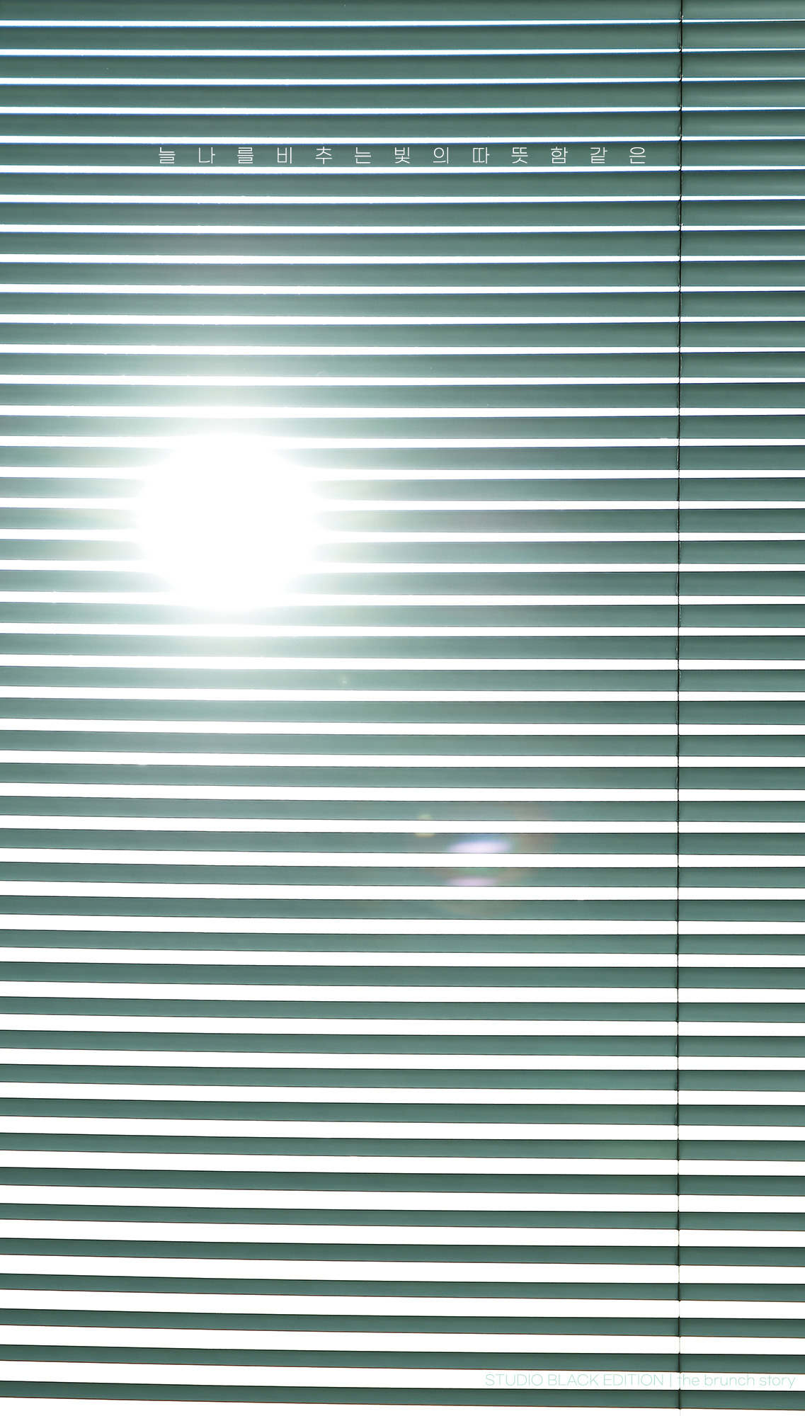 THE BRUNCH STORY 887.jpg