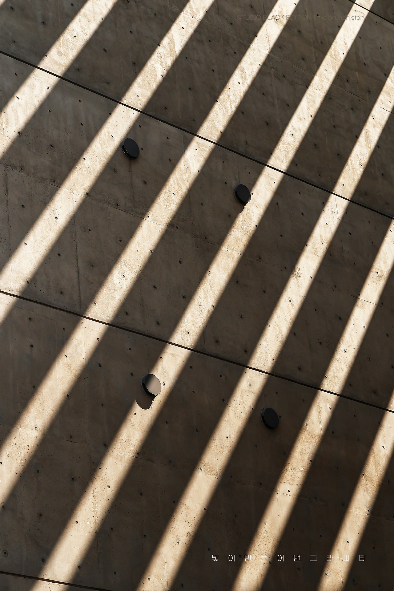 THE BRUNCH STORY 904.jpg