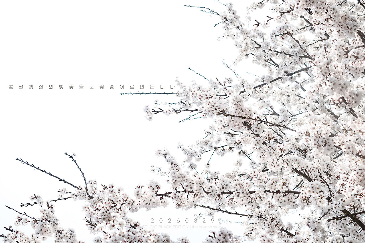 THE BRUNCH STORY 899.jpg